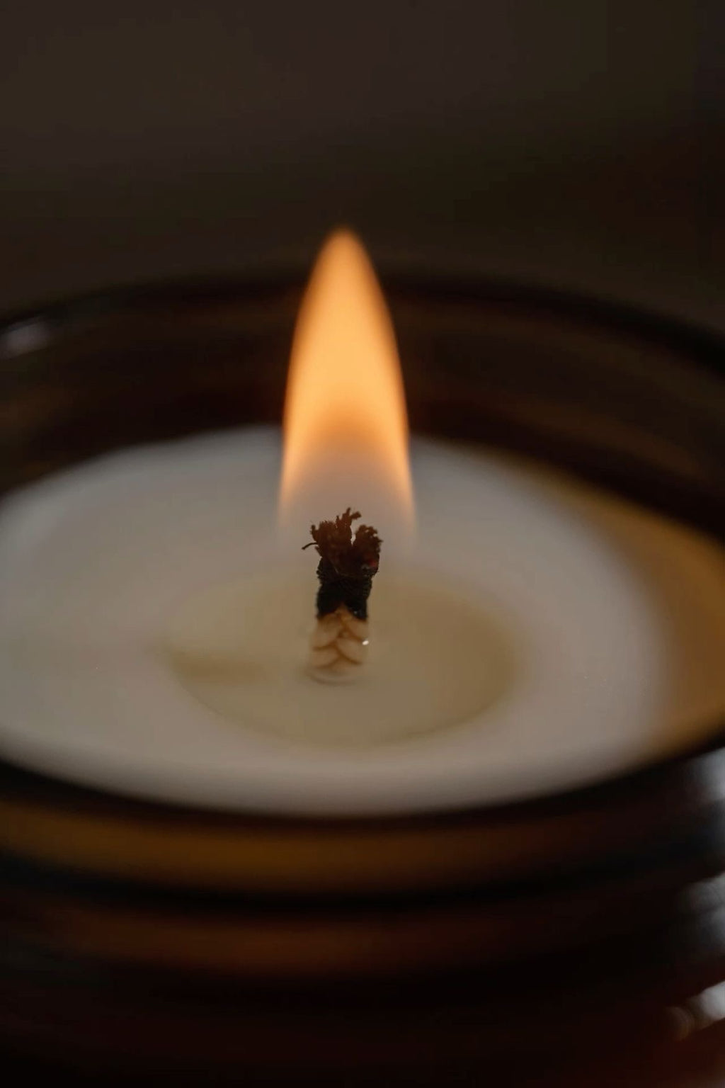 Velvet Bloom - Scented Candle